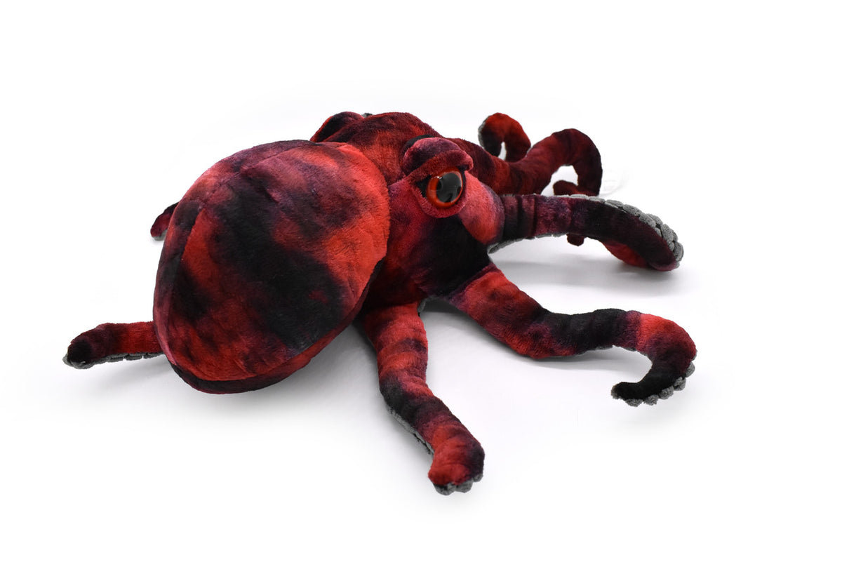 Red Octopus – ripleysaquariumstore